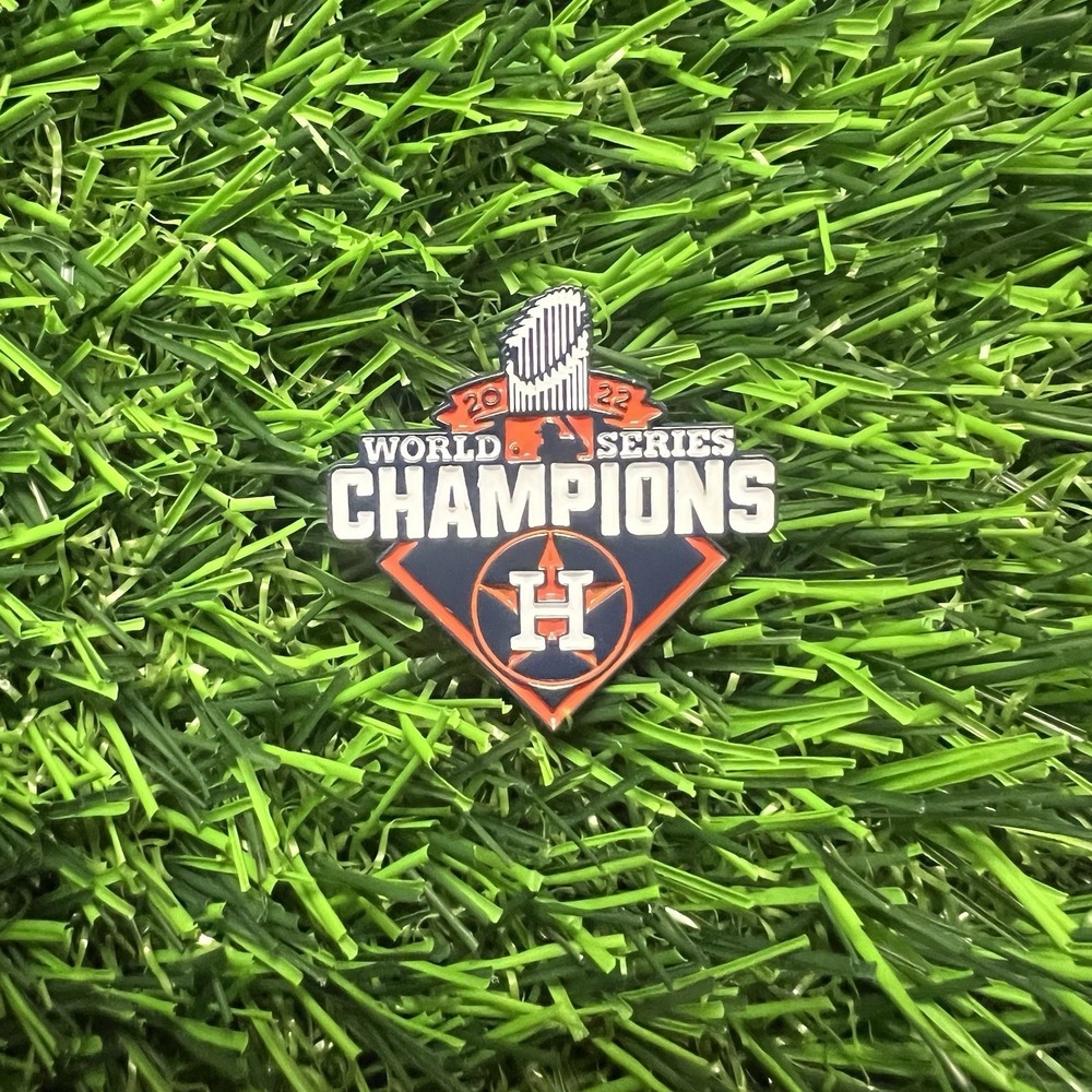Astros Pin
